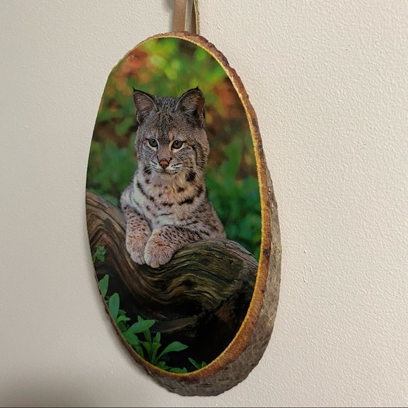 * LAST CHANCE* Ponderosa Ranch Bob Cat Log Slice Wall Art - Picture 2 of 6